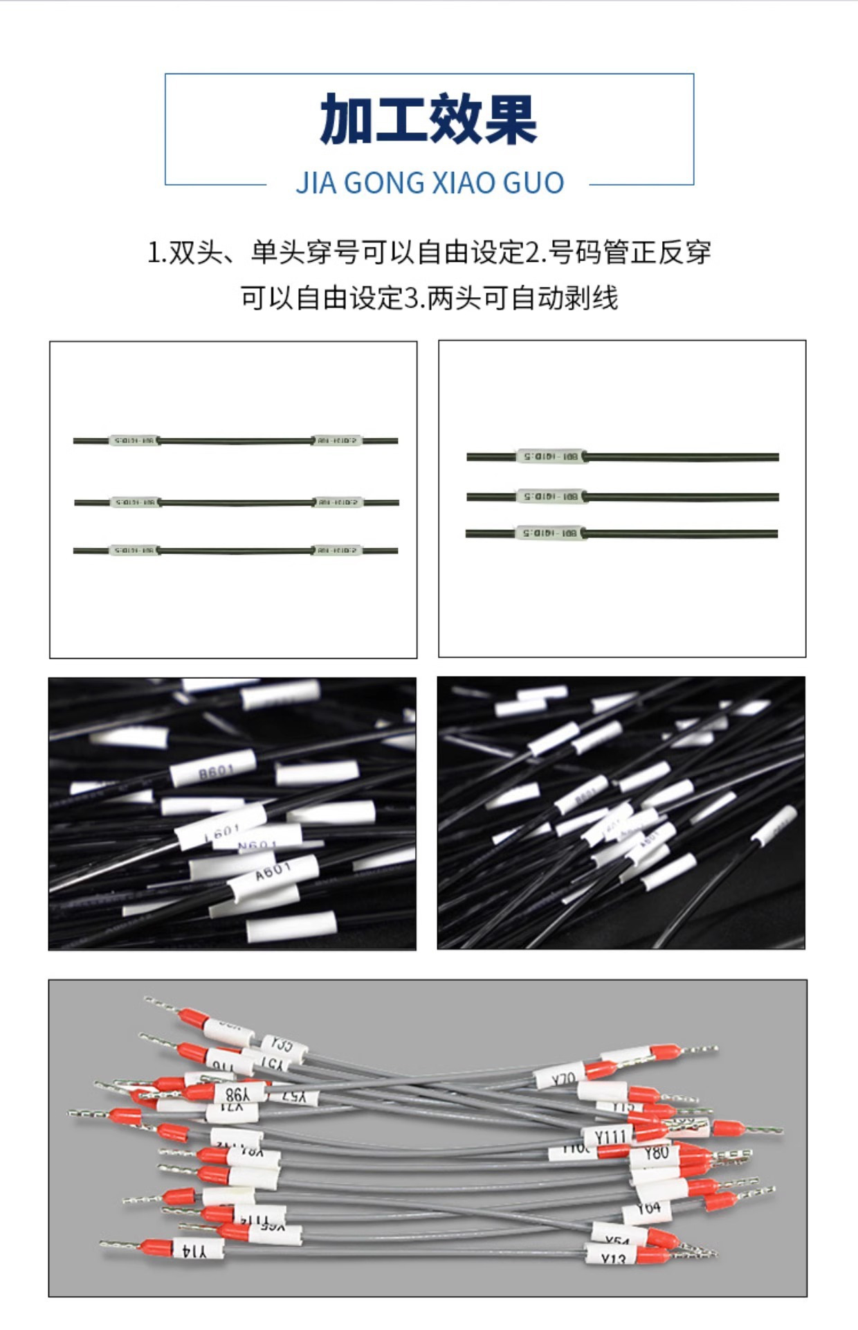 介紹14.jpg